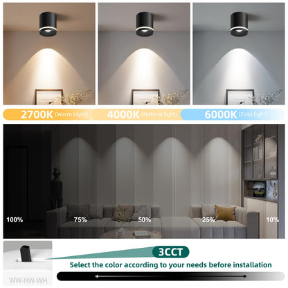 5.9“ Ceiling Light Fixtures, 20W 1800LM 3CCT 2700K-6000K Dimmable Flush Mount Ceiling Light for Hallway Kitchen Entryway, Black Cylinder Ceiling Lighting for Living Room 1-Pack